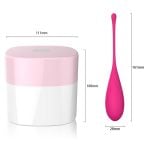 Pelvic Floor Kegel Training Kit