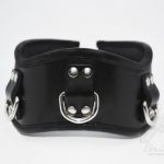 Rouge 3 Ring Posture Collar Black