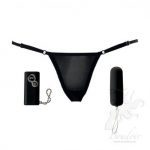 Remote Control Secret Panty Vibe Love to Love