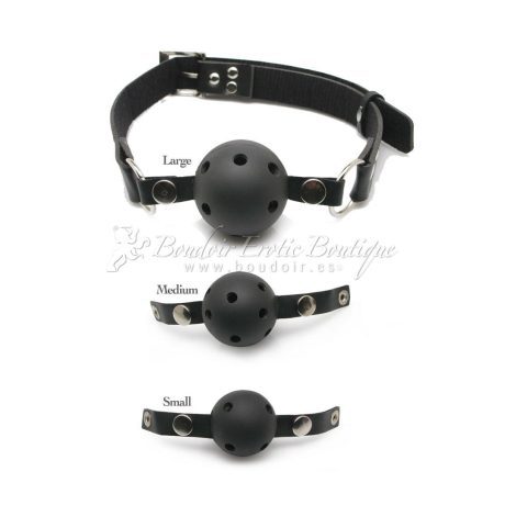 Interchangeable Ball Gag