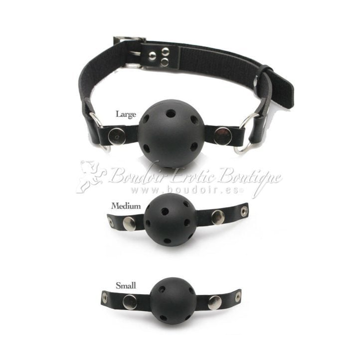 Interchangeable Ball Gag