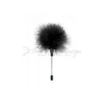 Black Feather