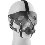 Restraint Mask Gag