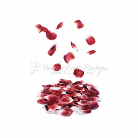 rose petals