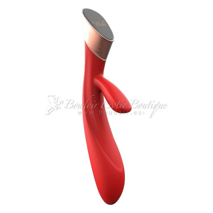 double vibrator