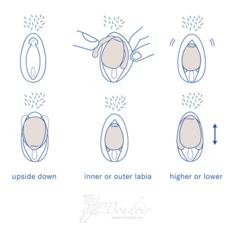 eva ii vivrator instrucciones