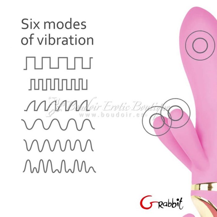 6 vibration modes