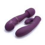 vibrator 2 in 1