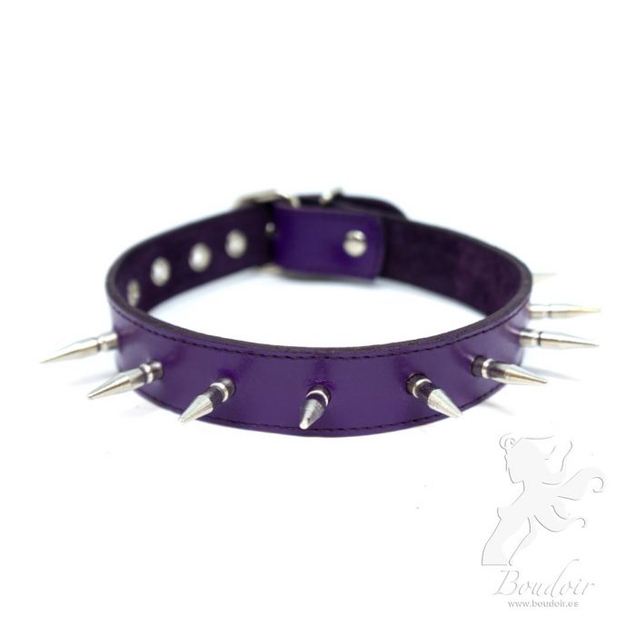 spiked collar purple