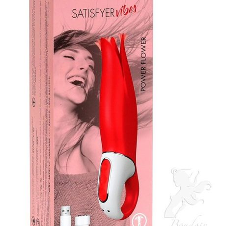 Satisfyer flower power vibe box