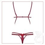 back lingerie wonderia teddy ruby obsessive