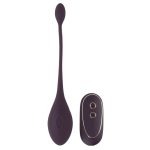 RC-LOVE-BALL-REMOTE-KEGEL