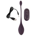 RC-LOVE-BALL-REMOTE-KEGEL