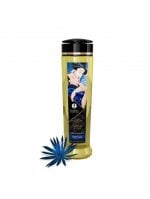 SHUNGA SEDUCTION OIL MEDIANOCHE 240ML