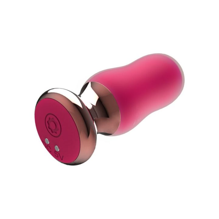 The Exquisite Vibrating Plug with Remote Control