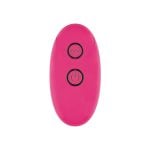 The Exquisite Vibrating Plug with Remote Control