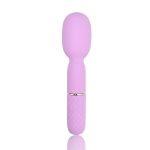 10 Speed Mini Wand Vibrator