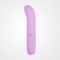G-Spot Bullet