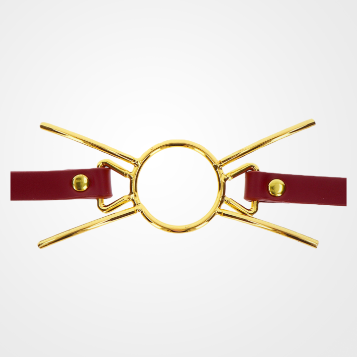 Taboom Spider Gag - Image 2