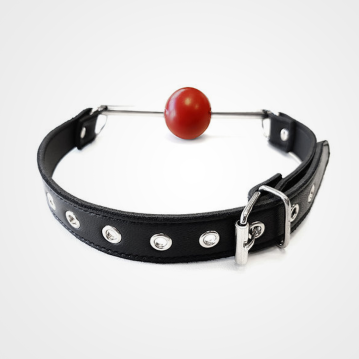 Rod & Ball Gag - Image 2