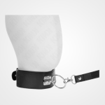 Ring Collar & Leash Set - Image 2