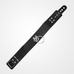 Ring Collar & Leash Set - Image 4