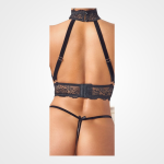 Halter Chain Set - Image 6