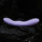 Selena - Image 7