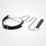 Heart Collar & Leash - Image 4